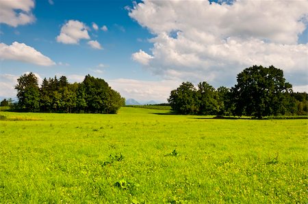 simsearch:400-05711931,k - Pasture in Southern Bavaria, Germany Stock Photo - Budget Royalty-Free & Subscription, Code: 400-06101826