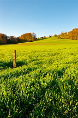 simsearch:400-05745462,k - Green Pastures around Farm House in Switzerland Stock Photo - Budget Royalty-Free & Subscription, Code: 400-06136841