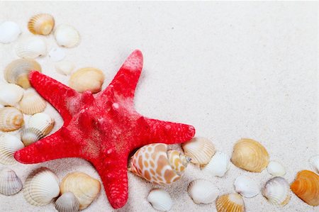 simsearch:400-04638536,k - Decorative red sea star with different shells on sand background Stock Photo - Budget Royalty-Free & Subscription, Code: 400-06137034