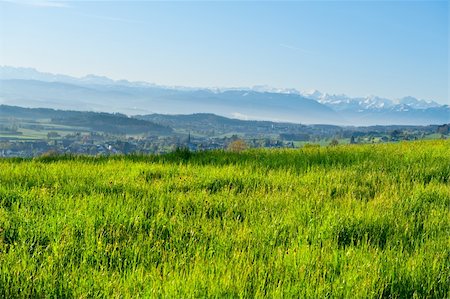 Pasture on the Background of Snow-capped Alps, Switzerland Stock Photo - Budget Royalty-Free & Subscription, Code: 400-06137095