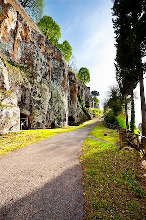 simsearch:400-04436530,k - Shade of the Trees on a Paved Road In Tuscany Stock Photo - Budget Royalty-Free & Subscription, Code: 400-06137093