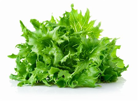 simsearch:400-04211564,k - green leaves lettuce isolated on white background Photographie de stock - Aubaine LD & Abonnement, Code: 400-06139753