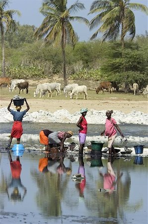 senegal - Finding the salt Stock Photo - Budget Royalty-Free & Subscription, Code: 400-06133659