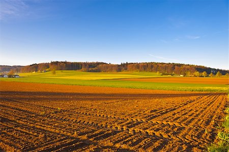 simsearch:400-05711931,k - The Swiss Farmhouse Surrounded by Forests and Plowed Fields Stock Photo - Budget Royalty-Free & Subscription, Code: 400-06140534