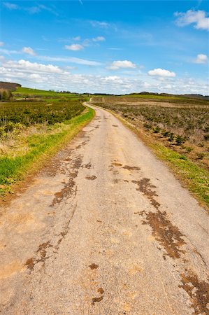 simsearch:400-05711931,k - Asphalt Road between Green Fields in Belgium, Spring Stock Photo - Budget Royalty-Free & Subscription, Code: 400-06141636