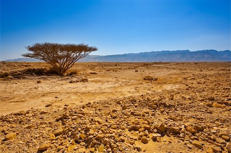 rocky dirt hill - Big Stones in Sand Hills of Samaria, Israel Stock Photo - Budget Royalty-Free & Subscription, Code: 400-06141637