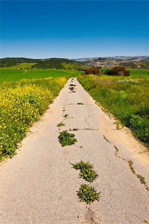 simsearch:400-05711931,k - Asphalt Road between Green Fields in Israel, Spring Stock Photo - Budget Royalty-Free & Subscription, Code: 400-06141974