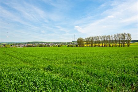 Village Surrounded by Fields of Lucerne, Germany Stock Photo - Budget Royalty-Free & Subscription, Code: 400-06141979