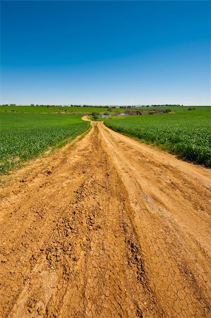 simsearch:400-05711931,k - Dirt Road to the Lake among the Green Fields, Israel Spring Stock Photo - Budget Royalty-Free & Subscription, Code: 400-06142106