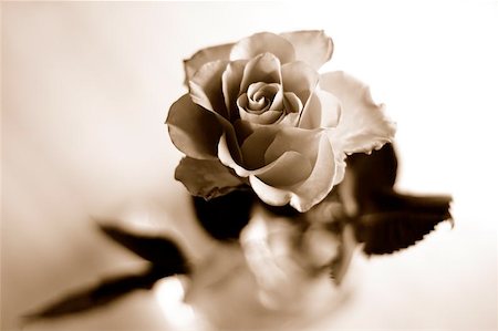 funeral flowers - Rose in sepia tone Stock Photo - Budget Royalty-Free & Subscription, Code: 400-06143984