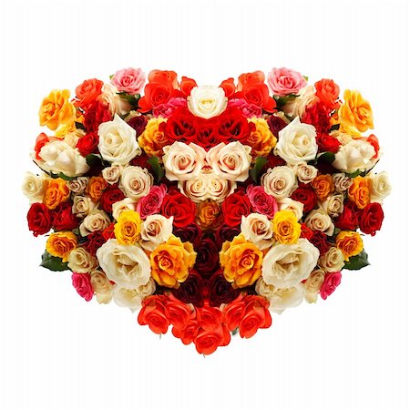 simsearch:400-06418836,k - Fresh roses in heart shape over white background Stock Photo - Budget Royalty-Free & Subscription, Code: 400-06175633