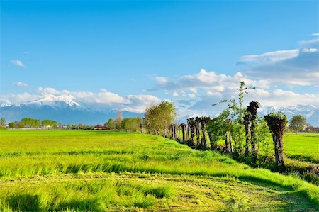 simsearch:400-05711931,k - Farmhouse in Piedmont on the Background of Snow-capped Alps Stock Photo - Budget Royalty-Free & Subscription, Code: 400-06176424