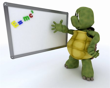 simsearch:400-06396346,k - 3D render of a tortoise with White class room drywipe marker board Stock Photo - Budget Royalty-Free & Subscription, Code: 400-06179520