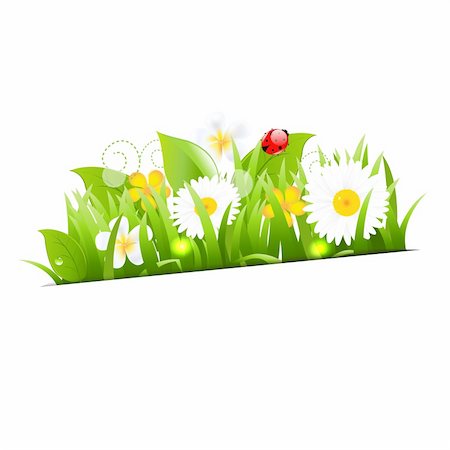 Bunch Of Flowers With Grass And Ladybug, Vector Illustration Stock Photo - Budget Royalty-Free & Subscription, Code: 400-06171824