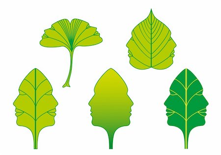 drawing of ginkgo leaf - green leaves with human face silhouettes, vector set Photographie de stock - Aubaine LD & Abonnement, Code: 400-06173505