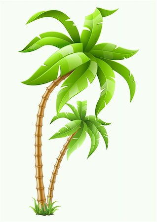 two tropical palms isolated on white background. Vector illustration. EPS10. Transparent objects used for shadows and lights drawing. Photographie de stock - Aubaine LD & Abonnement, Code: 400-06199901