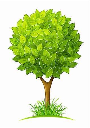 tree with green leaves vector illustration isolated on white background Stock Photo - Budget Royalty-Free & Subscription, Code: 400-06199903
