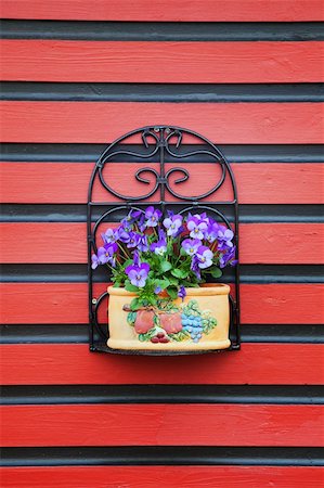 simsearch:400-07054392,k - Beautiful purple flowers in a pot attached to  red wall Photographie de stock - Aubaine LD & Abonnement, Code: 400-06206487