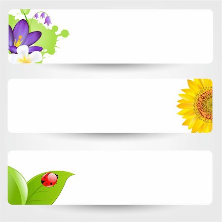 flowers bouquet vector - Banners With Flowers And Ladybug, Isolated On Grey, Vector Illustration Stock Photo - Budget Royalty-Free & Subscription, Code: 400-06200971