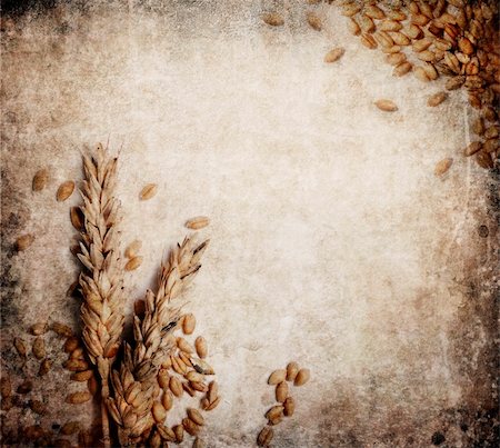 paper food pattern - Wheat ears on grungy textured background Stock Photo - Budget Royalty-Free & Subscription, Code: 400-06202602