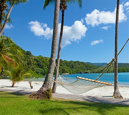 An empty hammock swaying in the breeze on a tropical beach Stock Photo - Budget Royalty-Free & Subscription, Code: 400-06203072