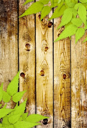 simsearch:400-06069768,k - Message of nature. Old wooden planks and green leaves Stock Photo - Budget Royalty-Free & Subscription, Code: 400-06327042