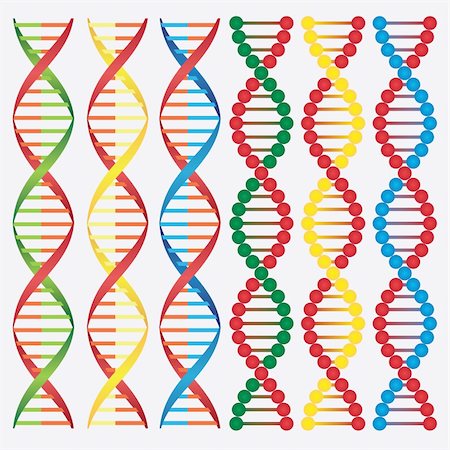 Set of abstract images of DNA molecules on the white background. Also available as a Vector in Adobe illustrator EPS 8 format, compressed in a zip file. Stock Photo - Budget Royalty-Free & Subscription, Code: 400-06327500