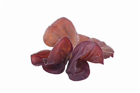 simsearch:400-04824992,k - Jew's Ear Mushroom on white background Stock Photo - Budget Royalty-Free & Subscription, Code: 400-06328075