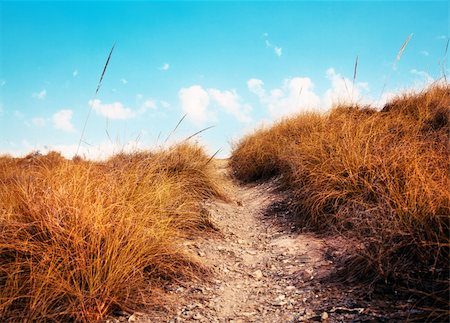 road to paradise - path in the sky ( photo ) Stock Photo - Budget Royalty-Free & Subscription, Code: 400-06357903