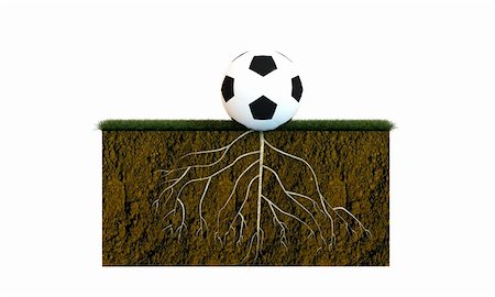 seed growing in soil - soccer ball with big roots on a soccer field isolated on white background Stock Photo - Budget Royalty-Free & Subscription, Code: 400-06364879
