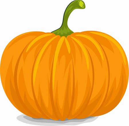 pumpkin drawing - Style, Fresh, Decorative Pumpkin for Halloween. Stock Photo - Budget Royalty-Free & Subscription, Code: 400-06367729