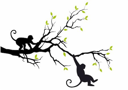 monkey hanging on tree branch, vector background Stock Photo - Budget Royalty-Free & Subscription, Code: 400-06387631