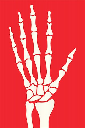 silhouette skeleton hand on a red background Stock Photo - Budget Royalty-Free & Subscription, Code: 400-06394180
