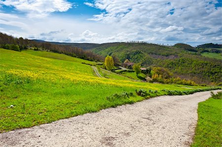 Dirt Road Leading to the Farmhouse in Tuscany, Italy Stock Photo - Budget Royalty-Free & Subscription, Code: 400-06394689