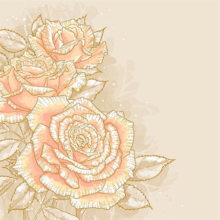 simsearch:400-06080543,k - The contour drawing pink roses with leaves on toned background. Watercolor style. Can be used as background for invitation cards. Stock Photo - Budget Royalty-Free & Subscription, Code: 400-06395688