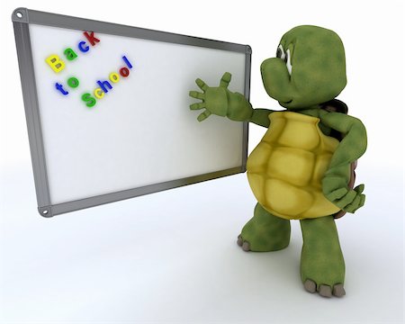 simsearch:400-06396346,k - 3D render of a tortoise with White class room drywipe marker board Stock Photo - Budget Royalty-Free & Subscription, Code: 400-06391454
