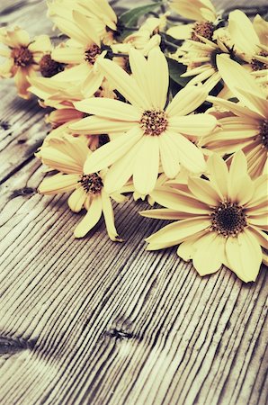 Wild Yellow Daisy Flowers on Wooden Table - Vintage Look Stock Photo - Budget Royalty-Free & Subscription, Code: 400-06393525