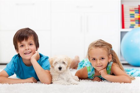 Happy kids with their pet - a fluffy dog - laying on the floor Stock Photo - Budget Royalty-Free & Subscription, Code: 400-06408534