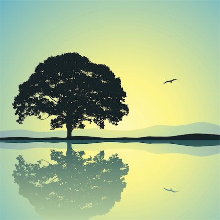 simsearch:400-06408905,k - A Single Tree Standing Alone with Reflection in Water Stock Photo - Budget Royalty-Free & Subscription, Code: 400-06408904