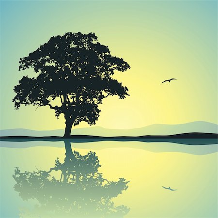 simsearch:400-06408905,k - A Single Tree Standing Alone with Reflection in Water Stock Photo - Budget Royalty-Free & Subscription, Code: 400-06408905