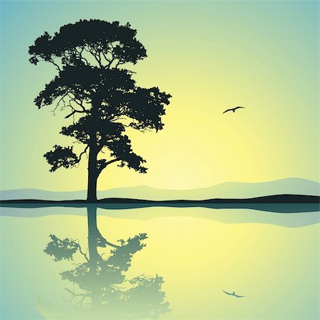 simsearch:400-06408905,k - A Single Tree Standing Alone with Reflection in Water Stock Photo - Budget Royalty-Free & Subscription, Code: 400-06408900