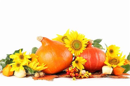 Autumn arrangement with Red Kuri pumpkins and sunflowers on white background Stock Photo - Budget Royalty-Free & Subscription, Code: 400-06414850