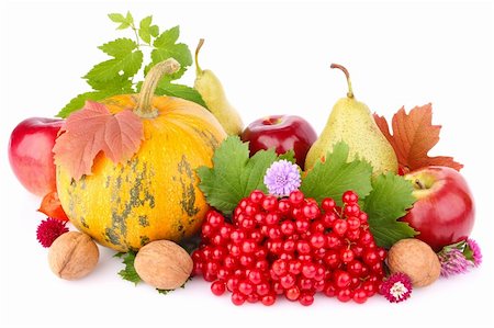 pumpkin fruit and his leafs - thanksgiving day still life isolated on white background Stock Photo - Budget Royalty-Free & Subscription, Code: 400-06415256