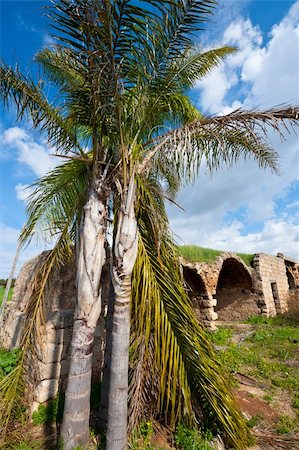 simsearch:400-06642892,k - Palm on the Background of the Ruins of the Ancient Fortress , Israel. Stock Photo - Budget Royalty-Free & Subscription, Code: 400-06415577