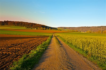 simsearch:400-05711931,k - The Swiss Farmhouse Surrounded by Forests and Plowed Fields Stock Photo - Budget Royalty-Free & Subscription, Code: 400-06415573