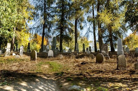 simsearch:400-04032243,k - forgotten and unkempt Jewish cemetery Stock Photo - Budget Royalty-Free & Subscription, Code: 400-06416643