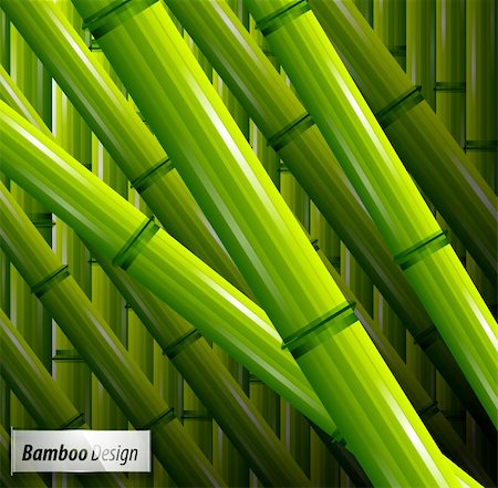 Vector green bamboo spring nature background Stock Photo - Budget Royalty-Free & Subscription, Code: 400-06411147