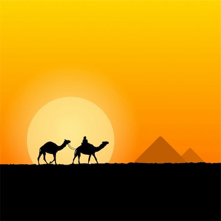 simsearch:400-05098768,k - African camels and Egyptian pyramids in background Stock Photo - Budget Royalty-Free & Subscription, Code: 400-06455790