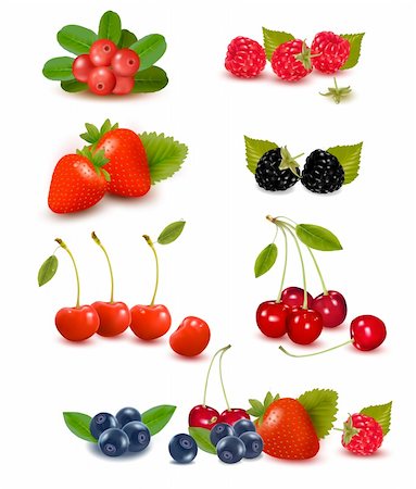 Big group of fresh berries  Vector illustration Foto de stock - Super Valor sin royalties y Suscripción, Código: 400-06452455