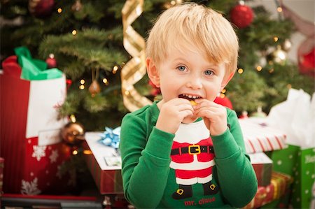 Cute Young Boy Enjoying Christmas Morning Near The Tree. Stock Photo - Budget Royalty-Free & Subscription, Code: 400-06464588